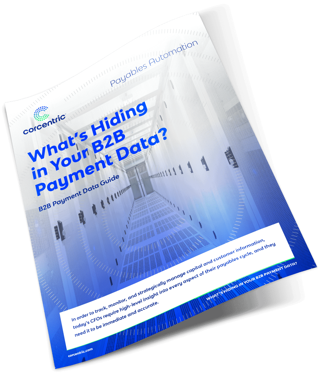 white-paper-whats-hiding-in-your-b2b-payment-data-asset