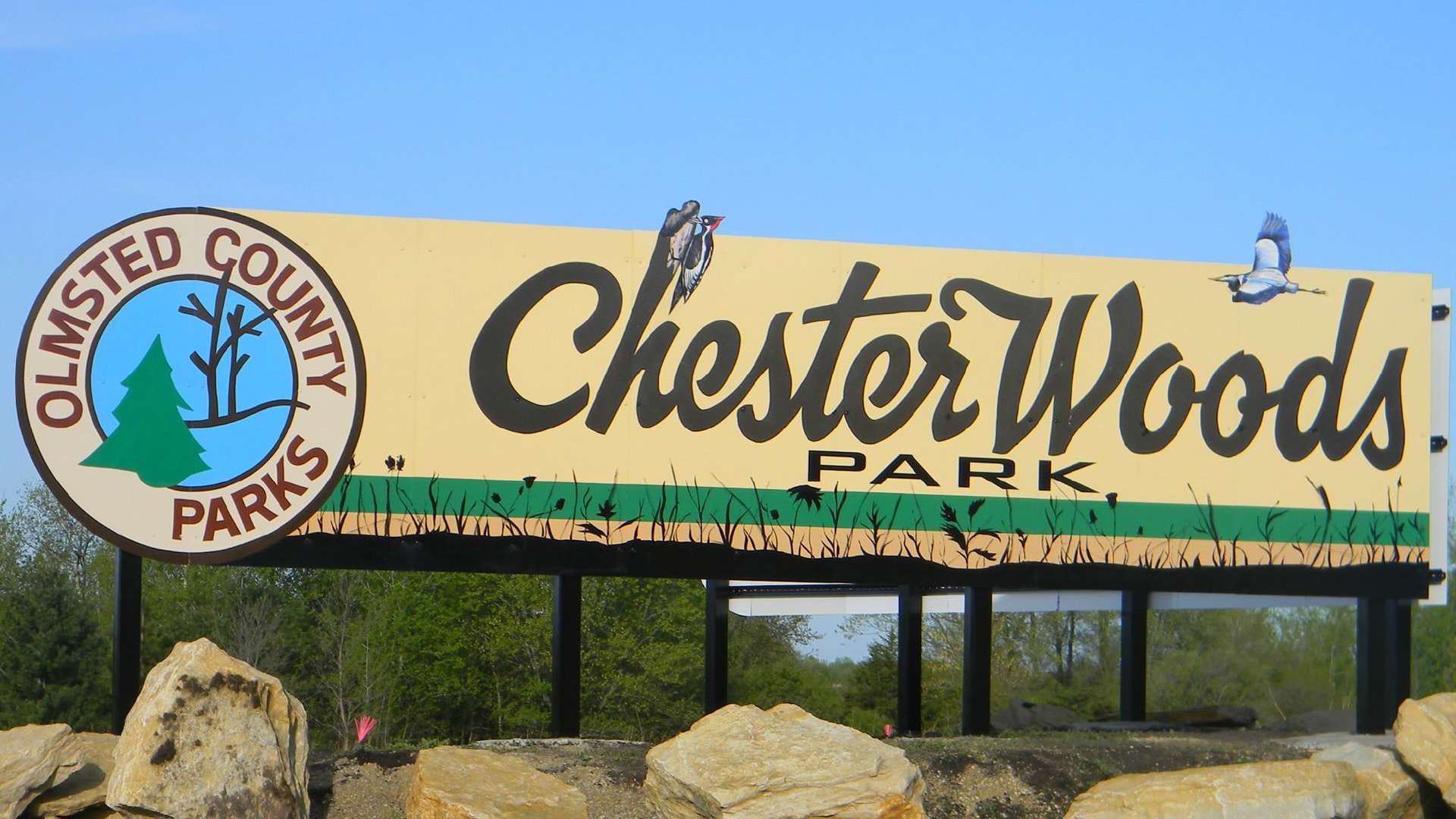 case-study-olmsted-county-header