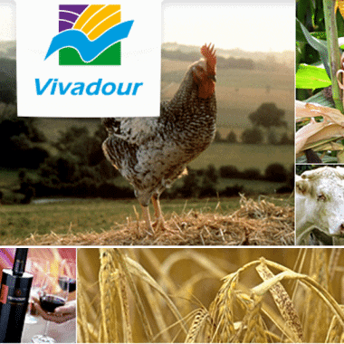 Gestion des Achats dans l'agro-industrie : Success Story